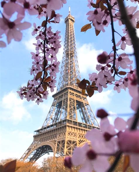 Spring In Paris 🌸🌸🌸 Pic By Mrsthebest Bestplacestogo For A Feature