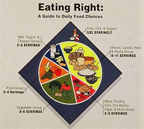 Over the next few years, research from around the world chipped away at the healthy eating message in the pyramid's base (refined carbohydrates), the middle (meat and milk), and the tip (fats). Food Politics by Marion Nestle » Deconstructing the USDA's ...
