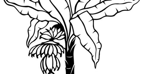 Oak tree coloring page images of fall tree coloring pages luxury. banana tree drawing - Google Search | Unsorted Goodies ...