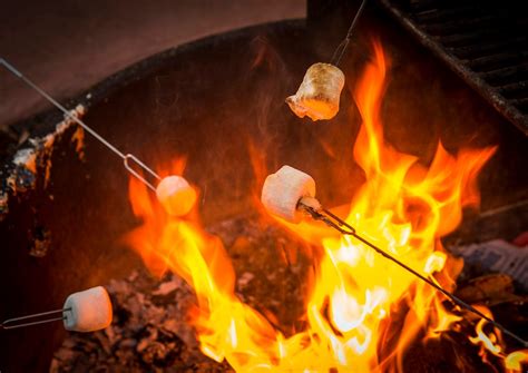 The Science Of Roasting The Perfect Marshmallow Koa Camping Blog