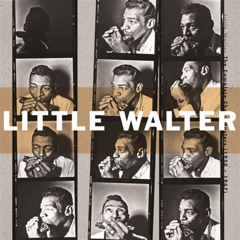 Little Walter The Complete Chess Masters 1950 1967 2009