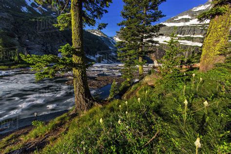 We did not find results for: Leigh Lake and Snowshoe Peak in the Cabinet Mountains ...