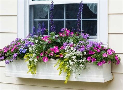 Interviewers like to test you by asking what you can bring to the company. Window boxes bring the garden into the home. Through the ...