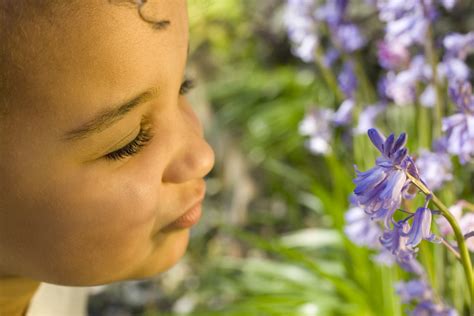 Parkland health provides medical care to indigent patients in dallas county. Treating Seasonal Allergies in Children - Boulder Medical ...
