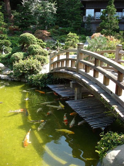 20 Japanese Zen Garden Pond