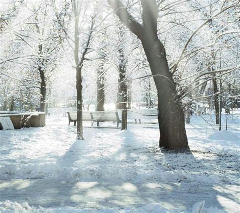 Winter time | Winter scenes, Winter nature, Free winter ...