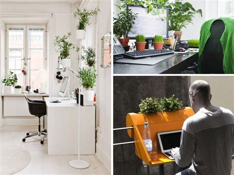 Primeramente para que empieces con la decoración de tu sala con plantas, es necesario que analices perfectamente. La mejor decoración de oficinas con plantas