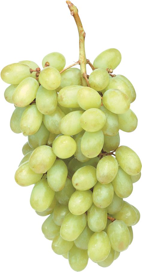 Download Green Grapes Png Image For Free