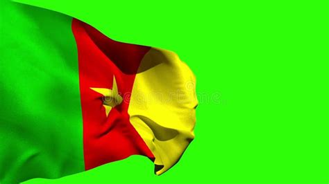 Cameroon National Flag Cameroon Flag Wiving Animation Stock Video