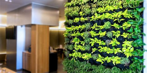 Create A Vertical Green Wall With Houseplants Visit The Plant Experts