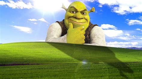 1920x1080px 1080p Free Download Shrek Windows Xp Meme Hd Wallpaper