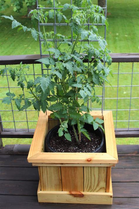 Here is a list of our top picks for the most amazing pots for. The Tomato Bucket Experiment - An Attractive New Twist on ...