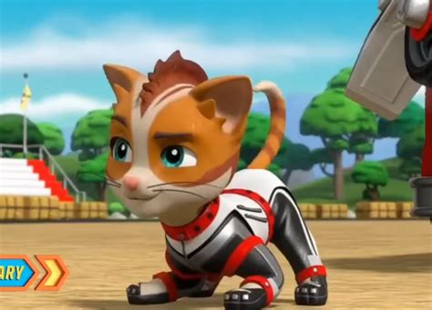 Paw Patrol Cat Pack Wild - WE LOVE CATS & DOGS