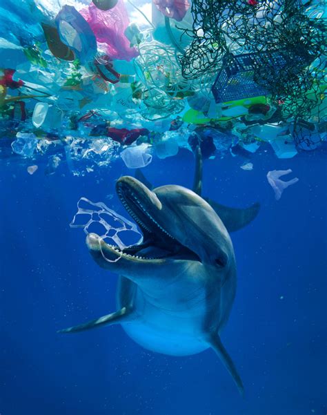 Ocean Trash 525 Trillion Pieces And Counting But Big Questions Remain