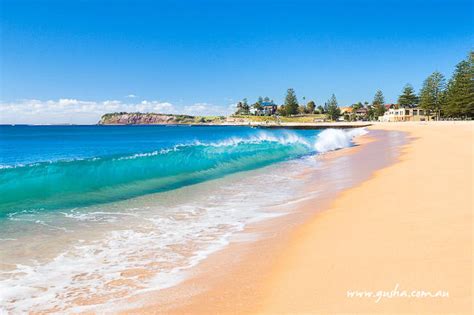 Gallery - Sydney Outback Experience | Sydney Out Back ...