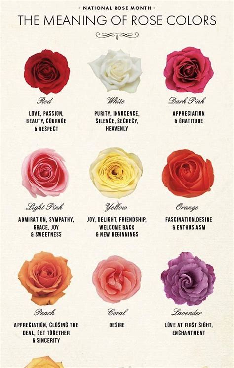 Meaning Of Your Favorite Rose Colors Rose Color Meanings Flower