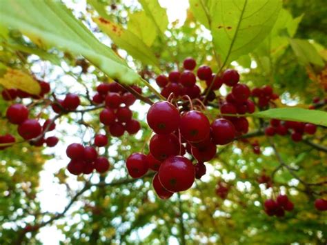 15 things to do in east texas: .By Toby | Riverside garden, Mill creek park, Mill creek