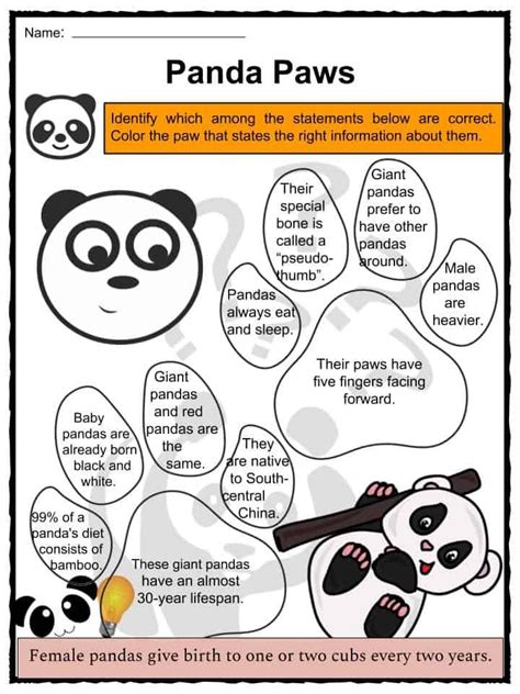 Panda Facts Worksheets Diet Habitat And Historic Information For Kids
