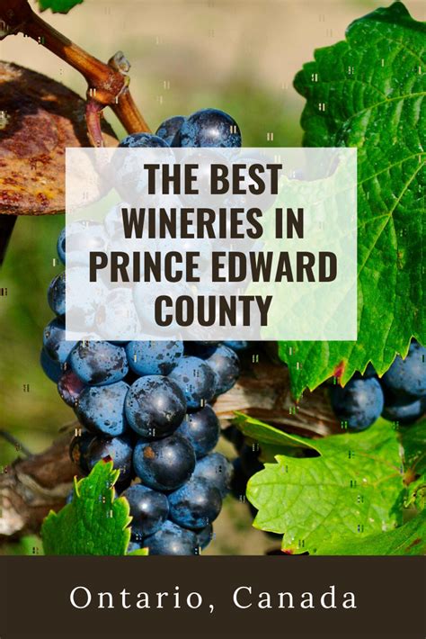 The Best Wineries In Prince Edward County You Should Visit Now Prince