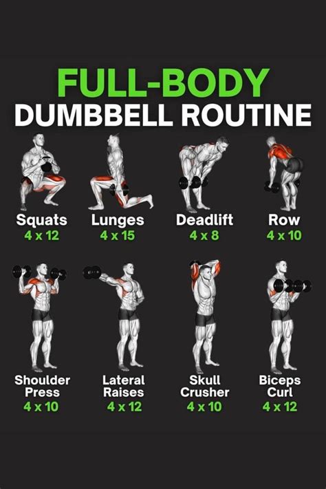 Fullbody Dumbell Workout Gewicht Oefeningen Fitnessoefeningen