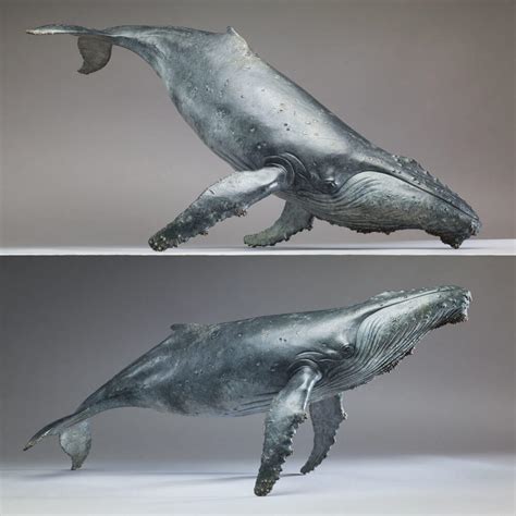 Humpback Whale, by Nick Bibby - 1/20th scale Bronze Whale Sculpture