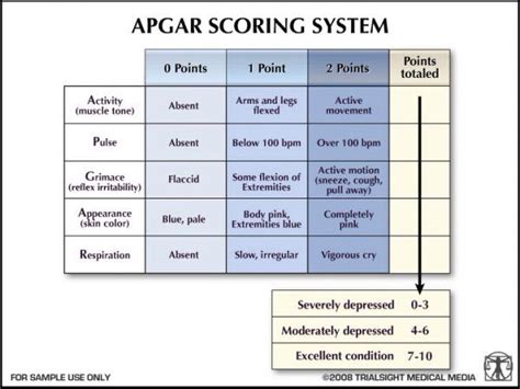 Apgar Score Pediatric Nursing Neonatal Nurse