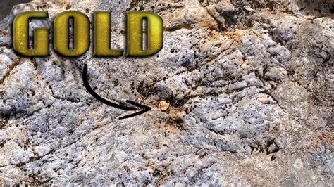 If any gold washed away from the rock outcropping, it may have embedded in the soil since gold is heavier than other minerals. Finding Real Gold on the Ground EVERYWHERE! - YouTube