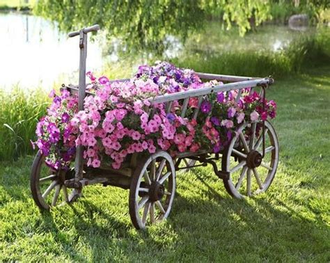 Wheelbarrow With Flowers Love Old Wheelbarrows With Flowers Garden