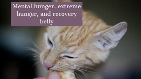 Mental Hunger Extreme Hunger And Recovery Belly Youtube