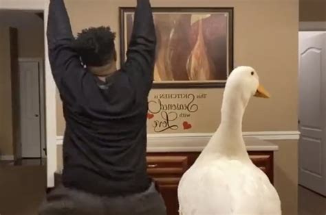 this teen twerking with his duck is the vibe we need in these strange times