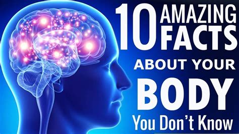10 amazing facts about human body you don t know about astounding facts youtube
