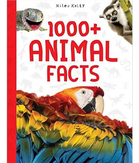 1000 Animal Facts Buy 1000 Animal Facts Online At Low Price In India