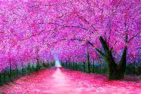 Cherry Blossoms Japan Fantasia
