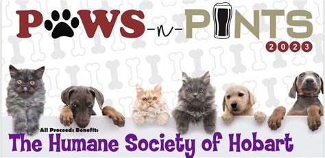 Paws N Pints A Humane Society Fundraiser Panoramanow Entertainment News