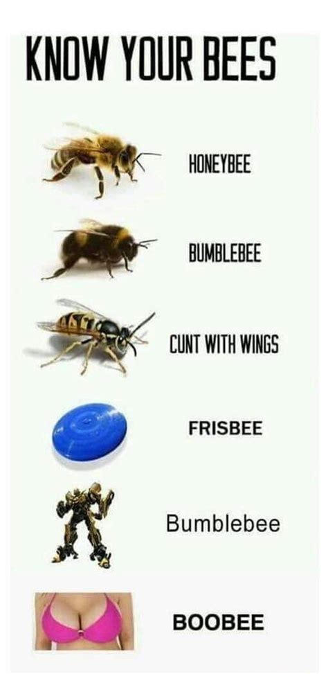 You Have To Know All Types Of Bees 9gag