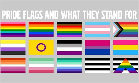 Lesbian Gay Bisexual Transgender Rainbow Flag Lgbt Banners Large Pride