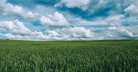 Grass Field Under Cloudy Sky · Free Stock Photo