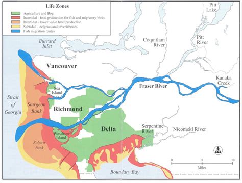 Fraser River Delta — Philip Jessup