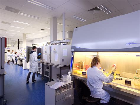 Laboratory For Cell And Tissue Engineering — Eindhoven University Of