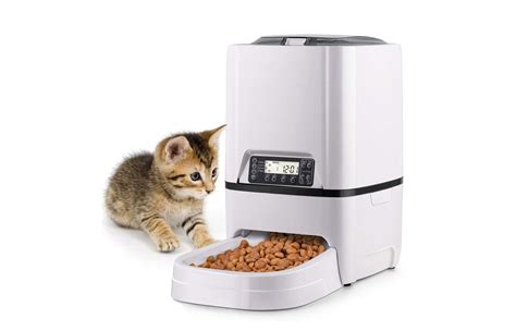 Best Automatic Cat Feeders (Top Picks) | PurrfectKittyCat