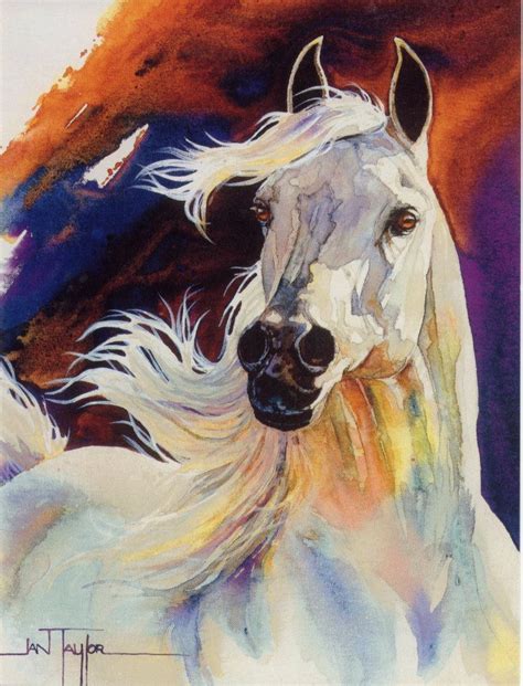 Jan Taylor White Horse Watercolor Horse Horse Painting Animal Art