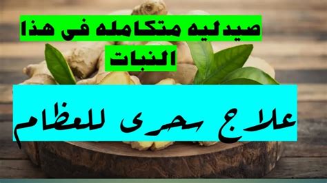 علاج مشاكل العظام بالنباتات الطبيه نبات الزنجبيل السحرى Youtube