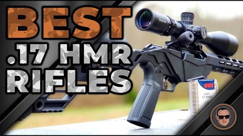 Best 17 Hmr Rifles 🔫 Round Up Gunmann Youtube