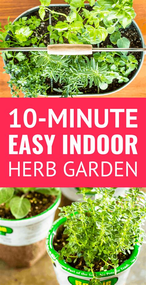 10 Minute Easy Diy Indoor Herb Planter Unsophisticook