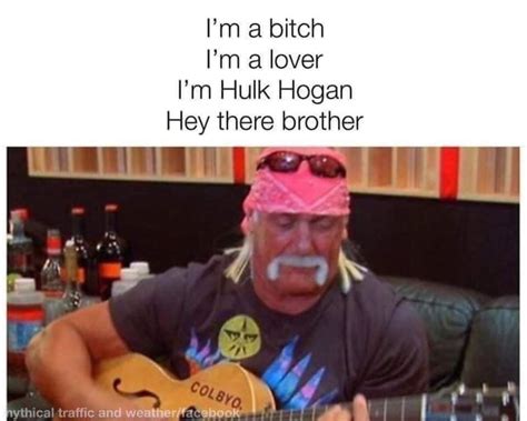 Just Sharing My Favorite Hulk Hogan Meme Rbehindthebastards