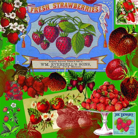 The Artzee Blog Vintage Strawberry Collage X Inch Printable