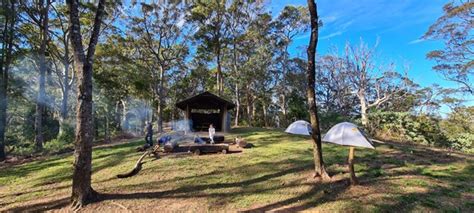 Lepidozamia Remote Bush Camp Aussie Bushwalking