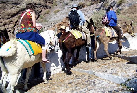 A man is driving his daughter and they are stuck in traffic. Walk, ride donkey or tram it-to Santorini's cliff tops ...