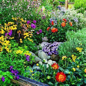 To keep your space beautiful and conserve water, select a flower that is drought tolerant. sun perennials that bloom all summer | Tall gaura (top ...
