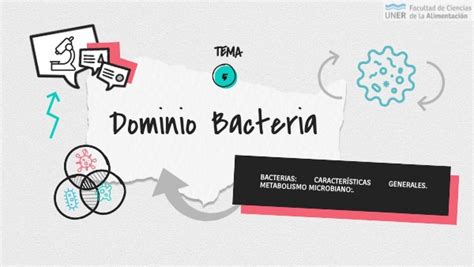 Tema 5 2021 Dominio Bacteria By Evelin Carlier On Genially